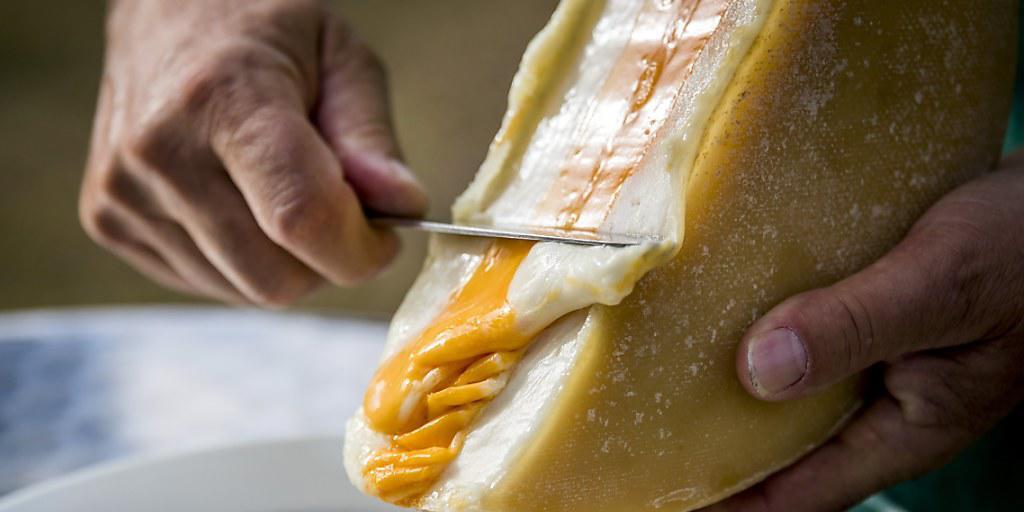Beim neuartigen Raclette-Käse sticht die gefärbte Kuhmilch-Schicht in der Mitte heraus.