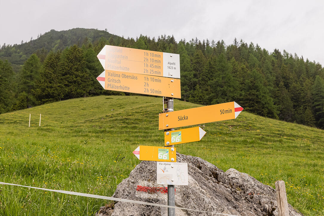 Wanderung: Steg - Alpeti - Pfälzerhütte - Malbun
