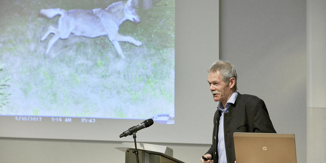 Vortrag: Der Wolf in Graubünden 180221 Vortrag: Der Wolf in Graubünden 180221