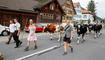Alpabtrieb, Rüthi, St. Gallen, Schweiz
