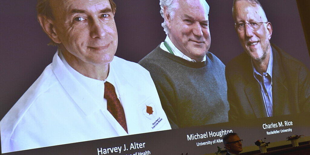 V.l.n.r. Harvey J. Alter, Michael Houghton und Charles M. Rice, die drei diesjährigen Nobel-Preisträger für Medizin, die für die Entdeckung des Hepatitis-C-Virus' ausgezeichnet werden. Die Verkündigung fand heuer wegen Corona ohne Publikum statt. V.l.n.r. Harvey J. Alter, Michael Houghton und Charles M. Rice, die drei diesjährigen Nobel-Preisträger für Medizin, die für die Entdeckung des Hepatitis-C-Virus' ausgezeichnet werden. Die Verkündigung fand heuer wegen Corona ohne Publikum statt.