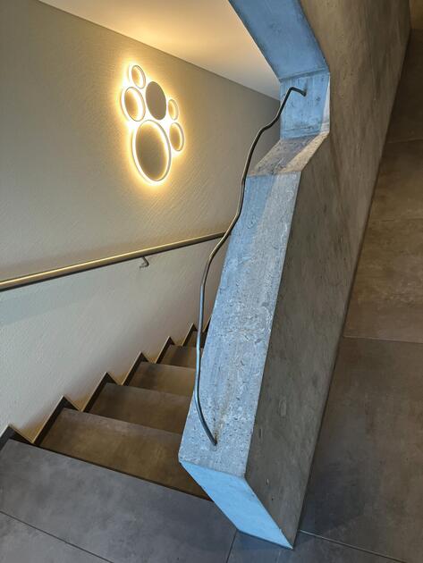 Ein sonnendurchfluteter Bau  mit dynamischem Design