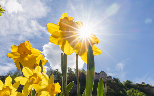 Frühling in Vaduz