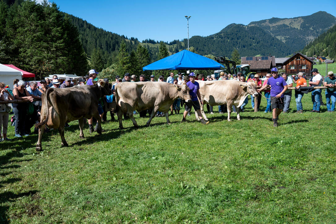 Stäger Breemimarcht, im Steg (20.09.2025)