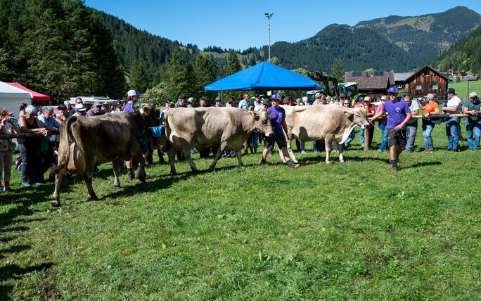 Stäger Breemimarcht, im Steg (20.09.2025)