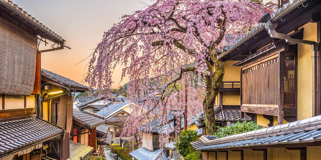 Kyoto, Japan in Spring