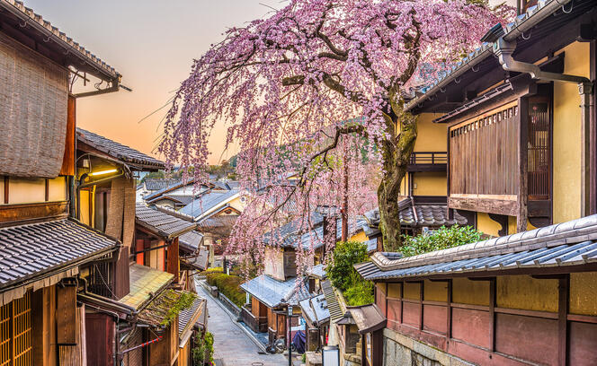 Kyoto, Japan in Spring