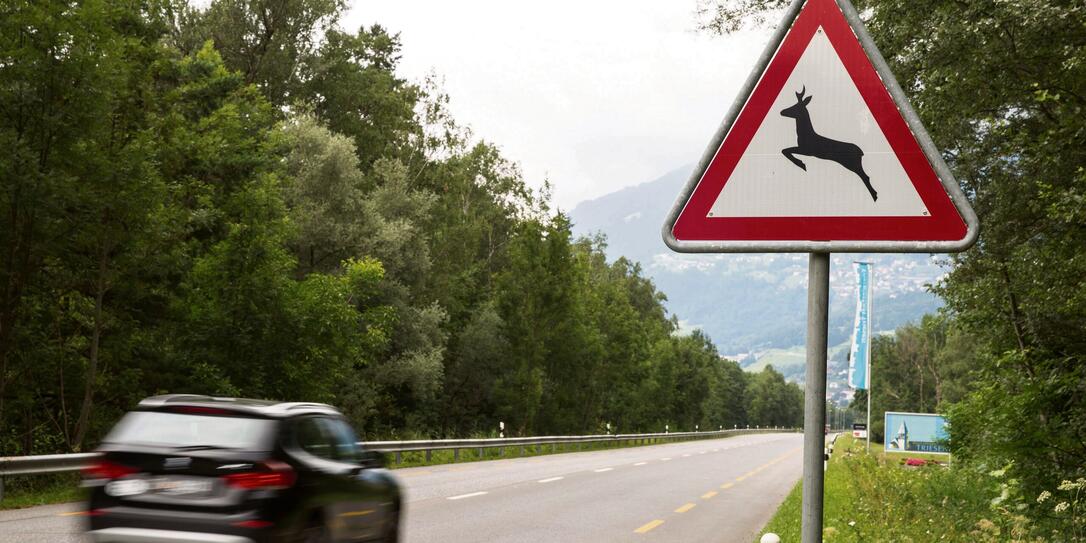 Achtung Wildwechsel