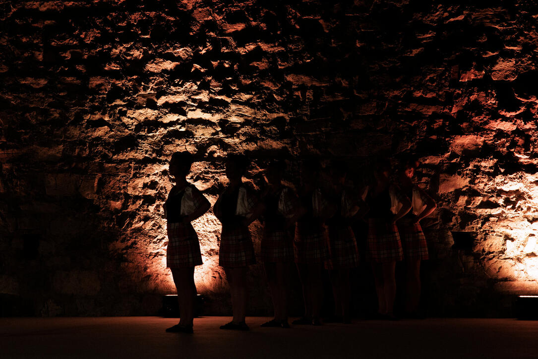 The Princely Liechtenstein Tattoo in Schellenberg