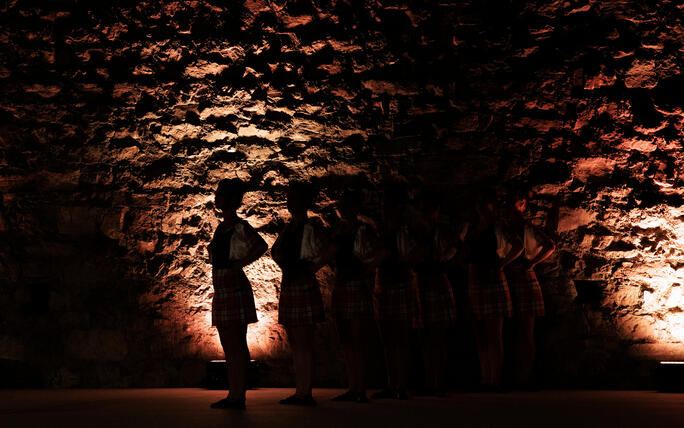 The Princely Liechtenstein Tattoo in Schellenberg