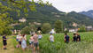 Kulinarik Feld Flurgang durch das Haberfeld in Vaduz (23.06.2026)