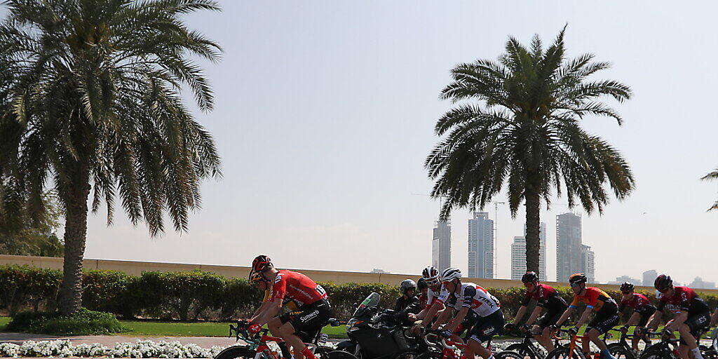 Viel Sonne und Palmen: Die Radprofis starten am Persischen Golf in die neue World-Tour-Saison
