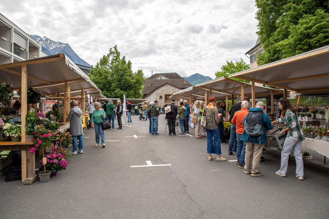 Wartauer Fr&uuml;hlingsmarkt in Azmoos