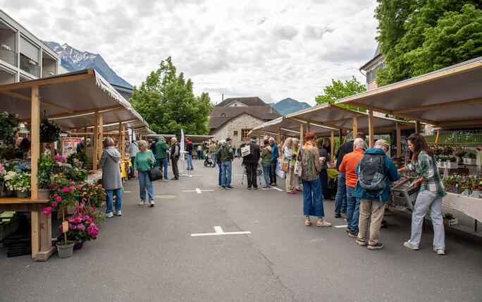 Wartauer Fr&uuml;hlingsmarkt in Azmoos