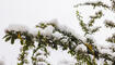 Schnee in Liechtenstein