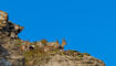 Wanderung Pf&auml;lzerh&uuml;tte Naafkopf