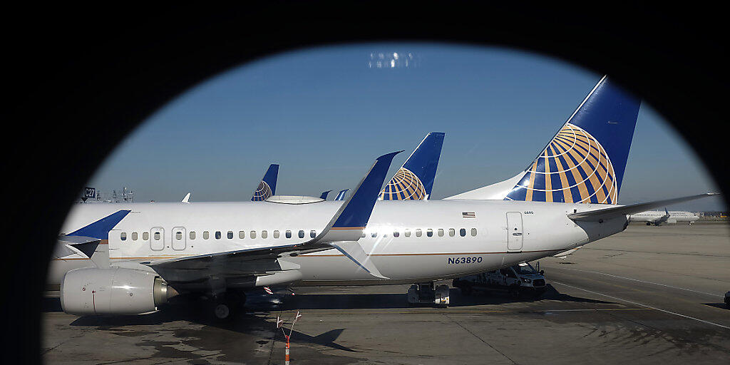 An Bord eines United-Airlines-Fliegers wurde ein Hund unsachgem&auml;ss in ein Gep&auml;ckfach gepfercht - und starb. (Symbolbild)