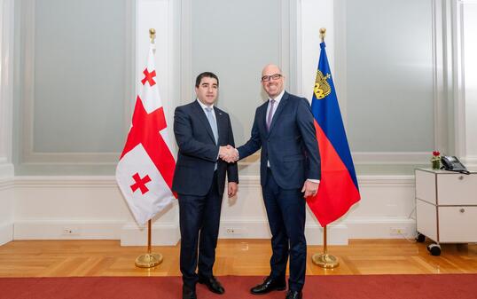 Besuch Parlamentspräsident Georgien (Shalva Papuashvili) bei RC