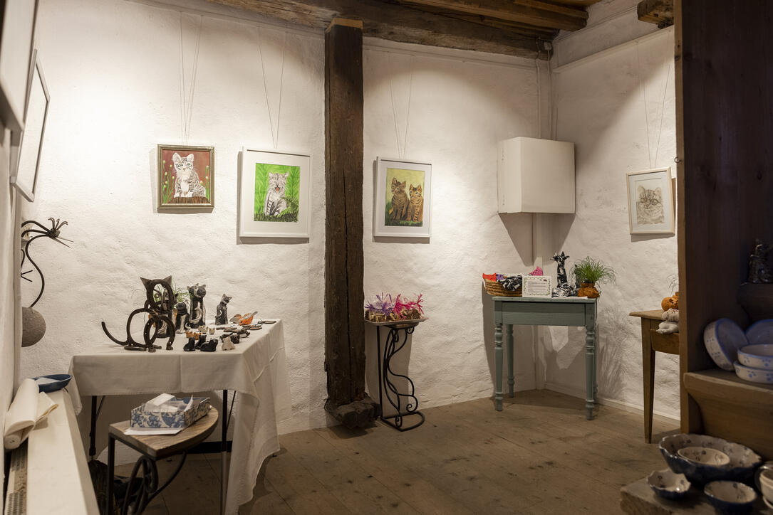 Ausstellung «Auf leisen Pfoten» in Werdenberg
