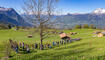 11. Sagenfestin Triesenberg (01.05.2026)