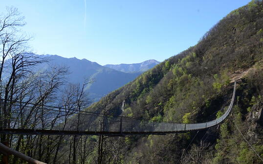 Tibetanische Hängebrücke oberhalb von Monte Carasso im Tessin.