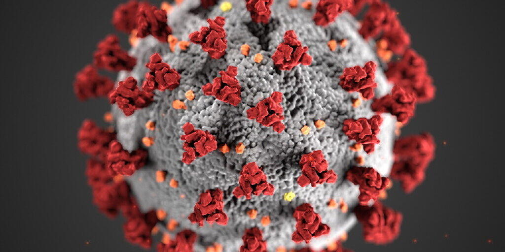Das Bundesamt für Gesundheit hat am Dienstag 225 neue Coronavirus-Infizierte innerhalb von 24 Stunden gemeldet.