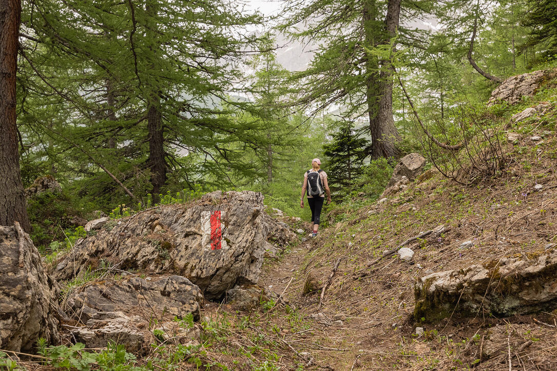 Wanderung: Steg - Alpeti - Pfälzerhütte - Malbun