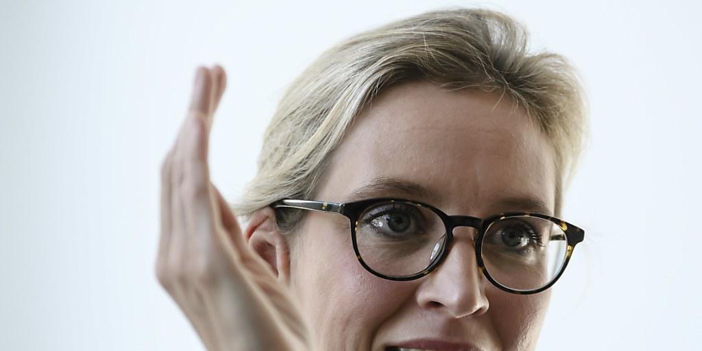 Der Kragen geplatz: Die AfD-Spitzenkandidatin Alice Weidel im deutschen Wahlkampf. (Archivbild)