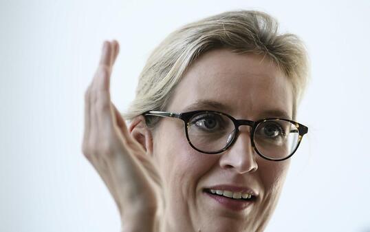 Der Kragen geplatz: Die AfD-Spitzenkandidatin Alice Weidel im deutschen Wahlkampf. (Archivbild)