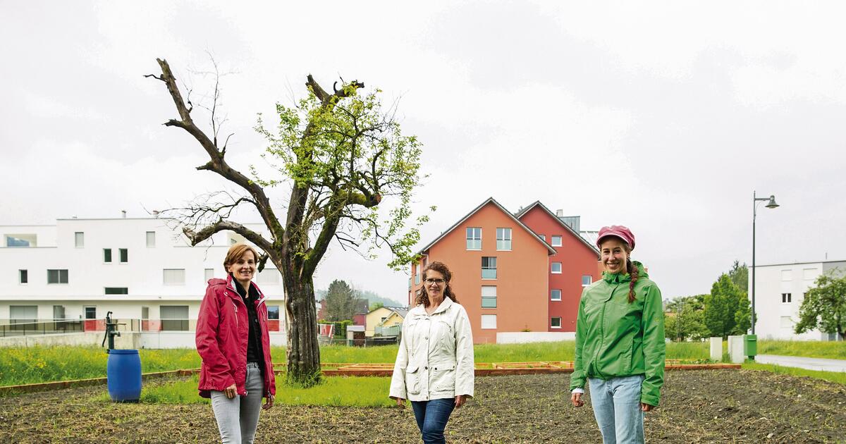 Ein Garten für alle Ruggeller Vaterland online