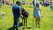 Eselfest, in Malbun (09.08.2025)