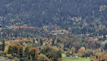 Herbst an der Kreuzung von Triesen und Triesenberg