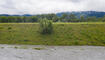 Hochwasser Rhein in Vaduz