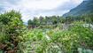 Gartenfest in Triesen (06.07.2024)