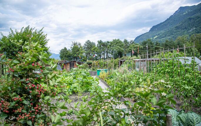 Gartenfest in Triesen (06.07.2024)