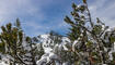 Erster Schnee in Liechtenstein