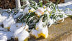 Schnee im Frühling