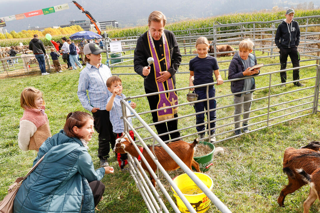Unterländer Brememart, Eschen, Liechtenstein.
