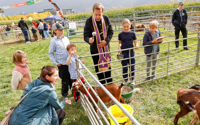 Unterländer Brememart, Eschen, Liechtenstein.