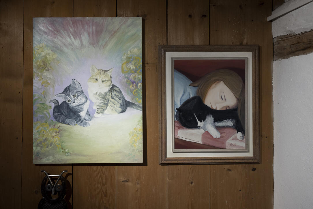 Ausstellung «Auf leisen Pfoten» in Werdenberg