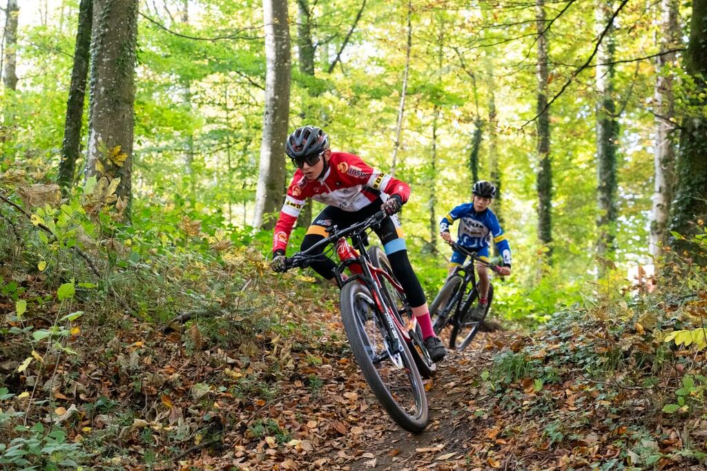 rennrad aufhngen Fahrrad Wandhalterung aus Holz fr Rennrad oder Mountainbike