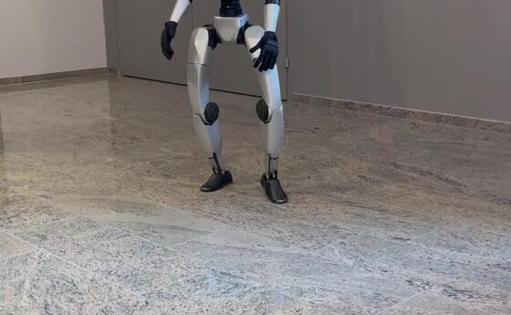 Der humanoide G1-Roboter &laquo;Henrietta&raquo; des IT-Unternehmers Ren&eacute; Vogel.