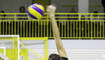 Volleyball: Damen, NLB, VBC Galina