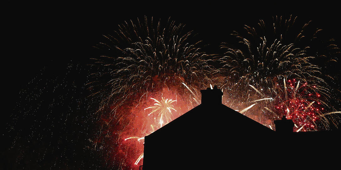 Interessengruppe gegen SilvesterKnallerei Vaterland online