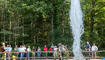 Waldtage in Schaan (20.09.2023)