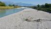 Trockener Alpenrhein (29.07.2026)