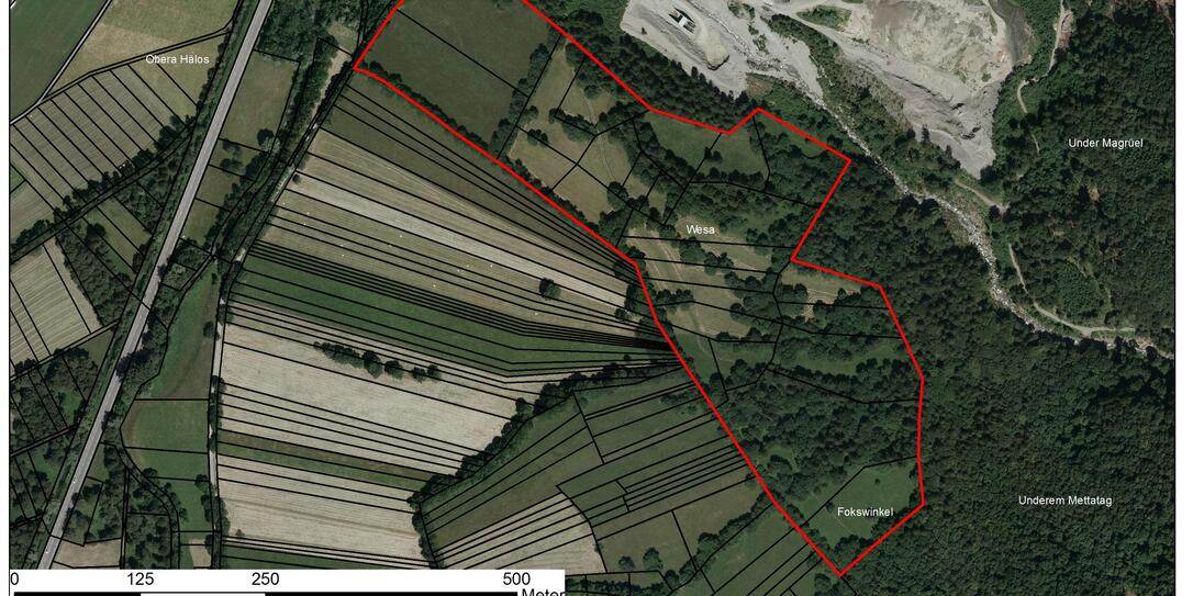 Neues Naturschutzgebiet in Triesen