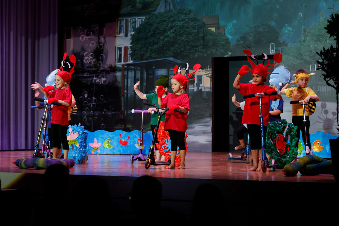 Turnunterhaltung STV Oberriet-Eichenwies, St. Gallen, Schweiz