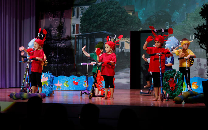 Turnunterhaltung STV Oberriet-Eichenwies, St. Gallen, Schweiz
