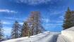Die schönsten Ski- und Winterfotos 2018/19